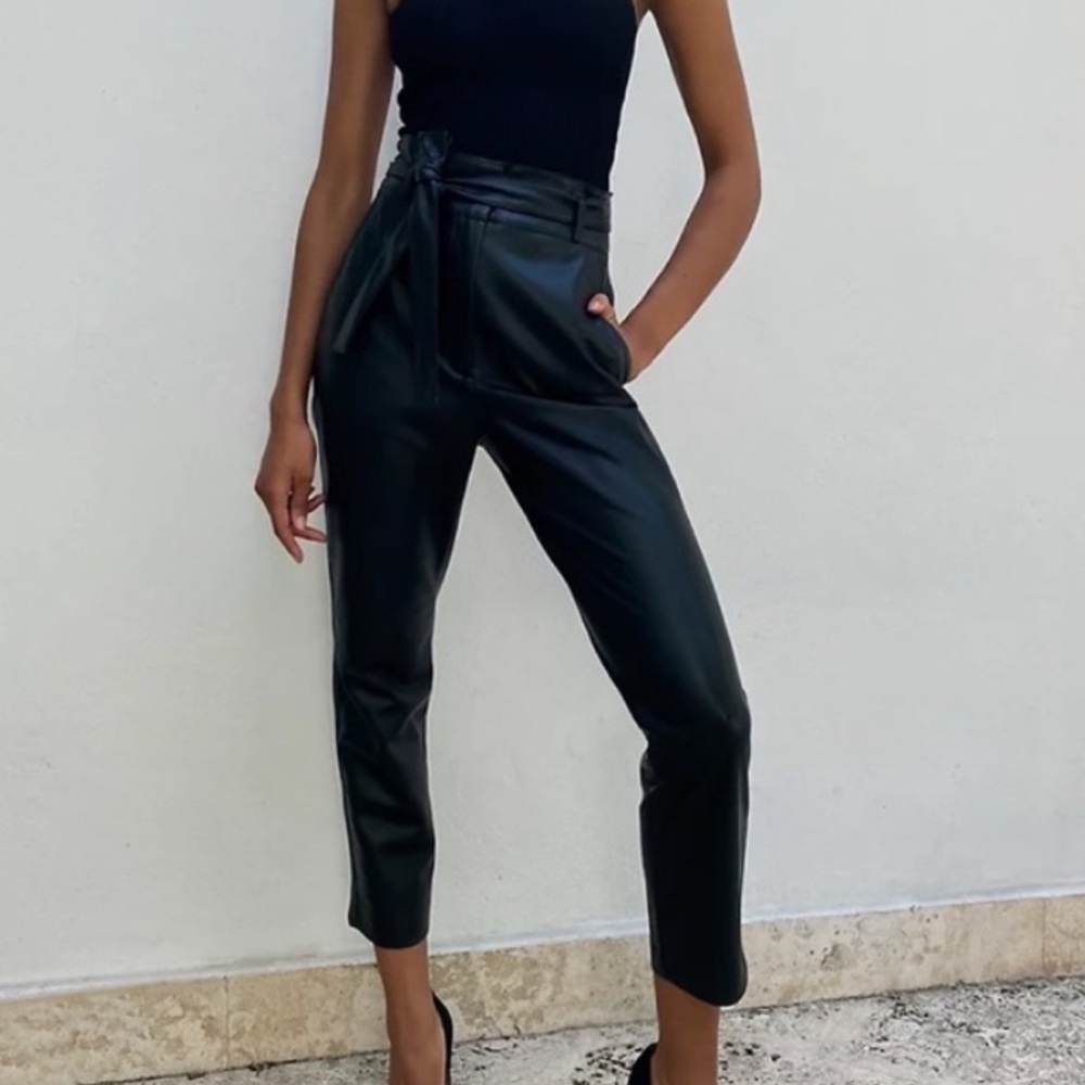 Aritzia Babaton vegan leather belted pant